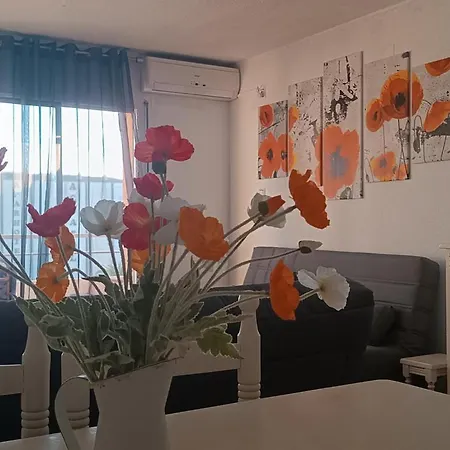 Estudio Primera Linea Playa Penismar C2 Peñíscola